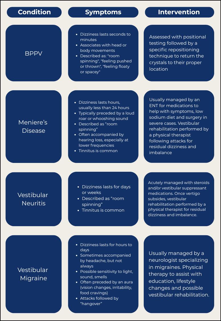 Infographic explaining common causes of vertigo and warning signs that need emergency assessment